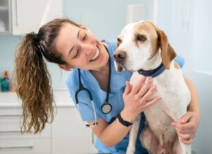 Perro en una visita rutinaria al veterinario