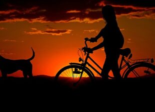 Perro siguiendo a su dueña en la bici