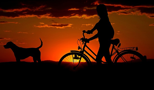 Perro siguiendo a su dueña en la bici