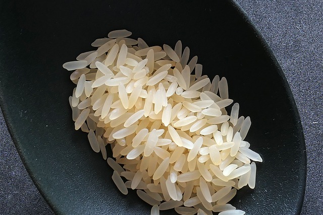 ¿El arroz es beneficioso para los perros?
