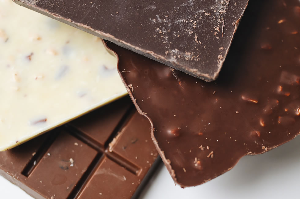¿Pueden los perros comer chocolate?